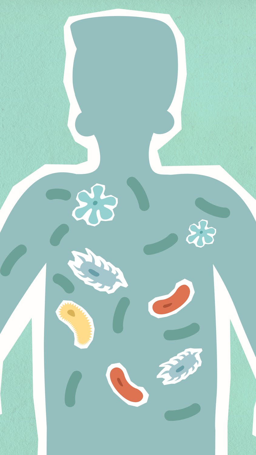 Your Gut Bacteria Can Reprogram Fat Cells to Burn More Energy — Here's How